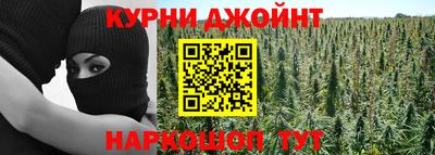 прущие грибы Донской