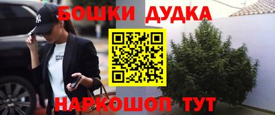 крисы Донецк