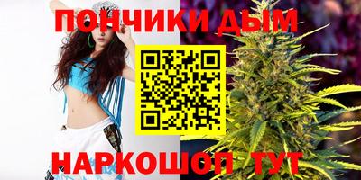 мдпв Дубна
