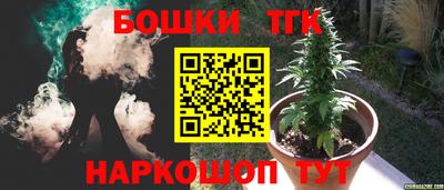 мдпв Дубна